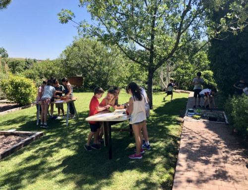 Celebra un cumpleaños único en Alcobendas con Juegos de Escape para niños