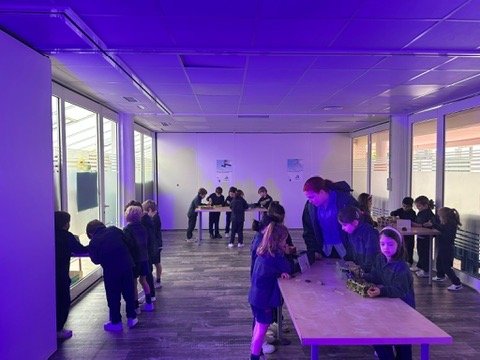 9F3B99DE-FA45-4638-BD5E-23C1CEF15E0B_4_5005_c